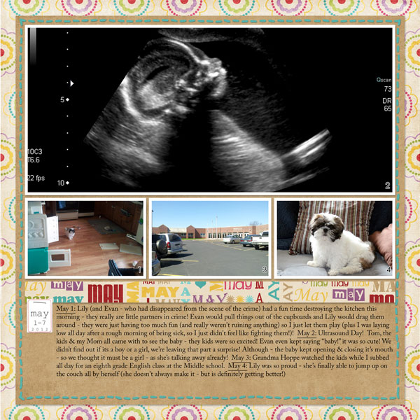 Project 2012: May 1-7a