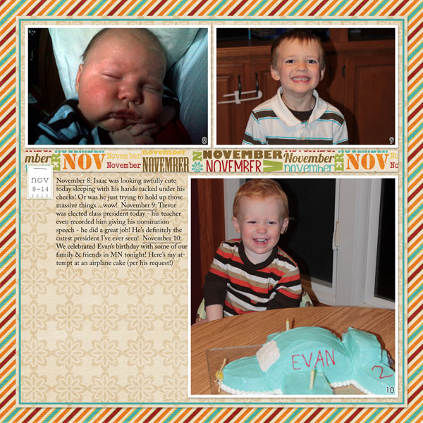 Project 2012: November 8-14a
