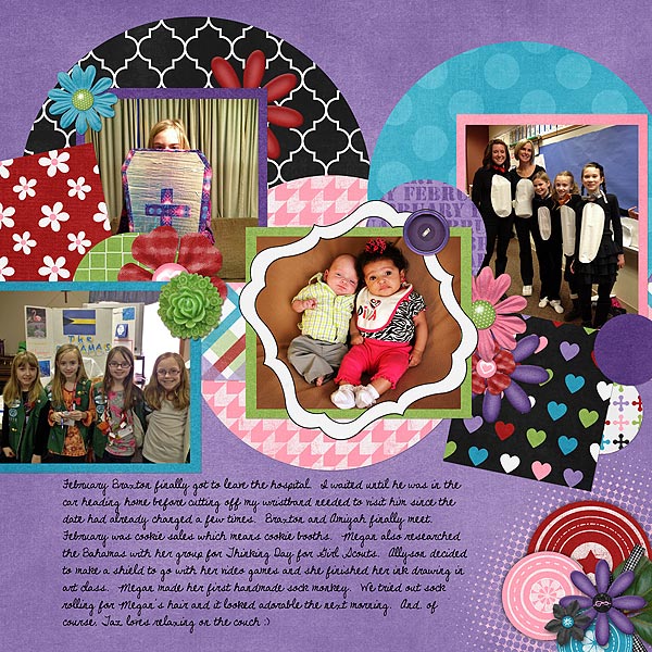 Project 2013 February page 1