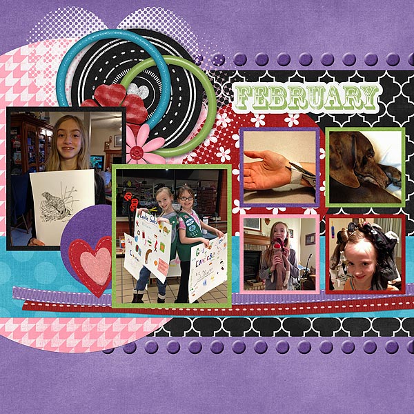 Project 2013 February page 2