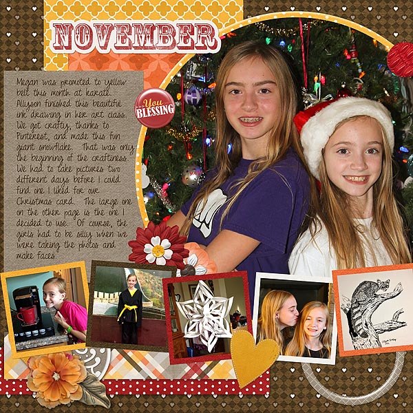 Project 2013 November
