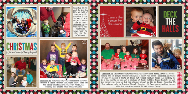 Project 2014 - December 22-28