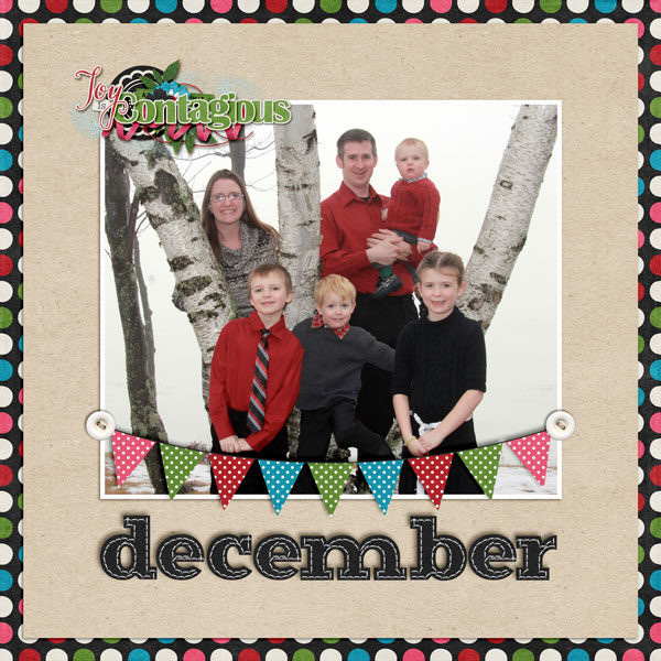 Project 2014 - December Title