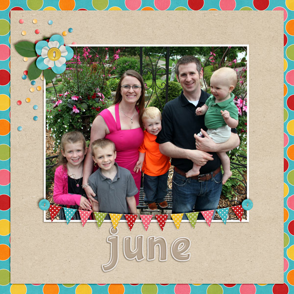 Project 2014: June Title