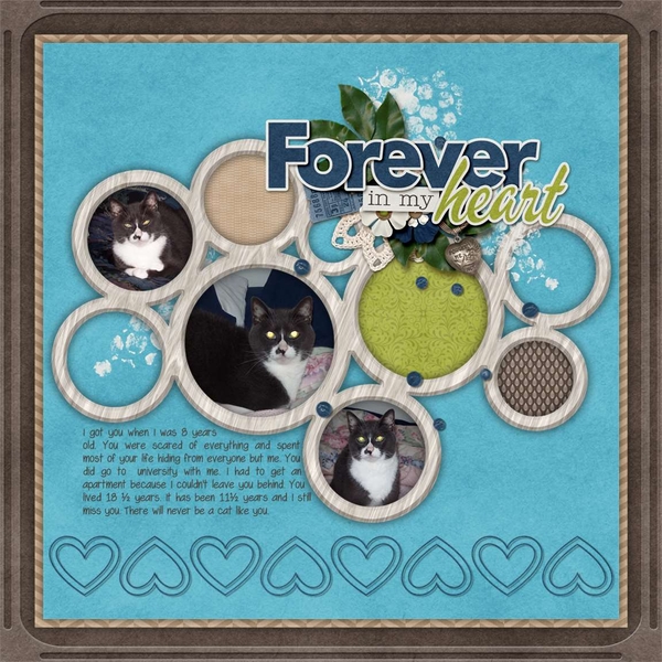 Project 2014 November