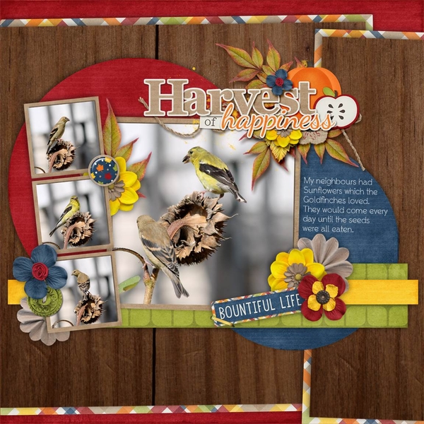 Project 2014 October