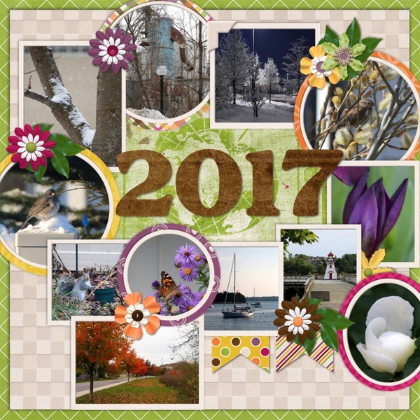 Project 2015 February