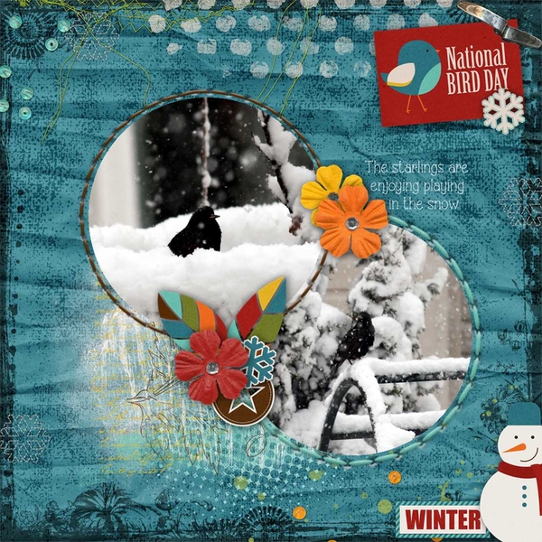 Project 2015 January