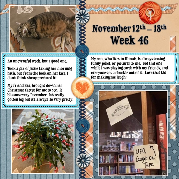 Project 236 Challenge - Week 46