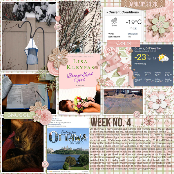 Project 365/52 Challenge 2019 Week 4