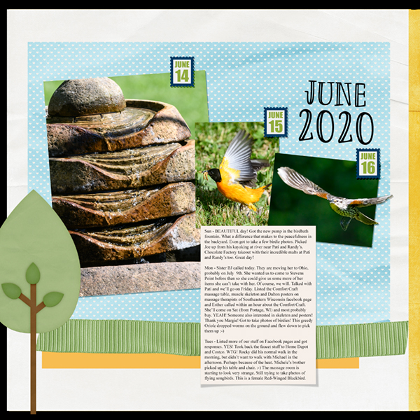 Project 365/52 Week3-2020-06-14