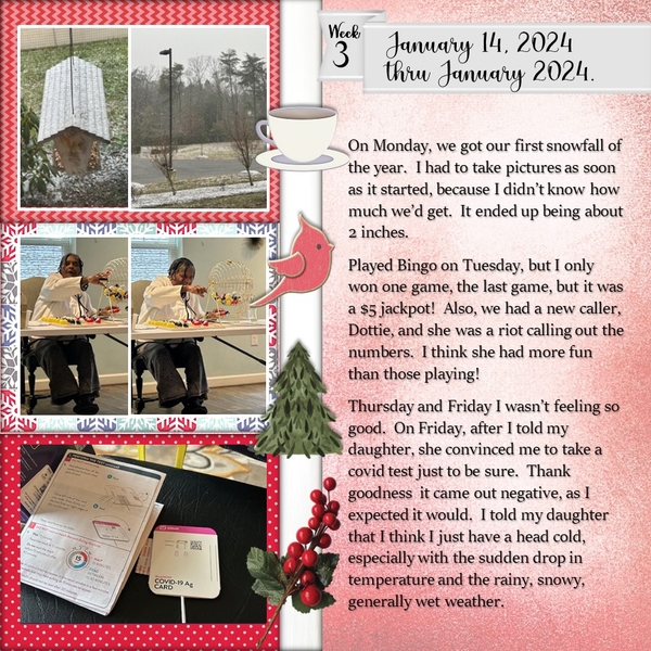 Project 365 Challenge - Week 3