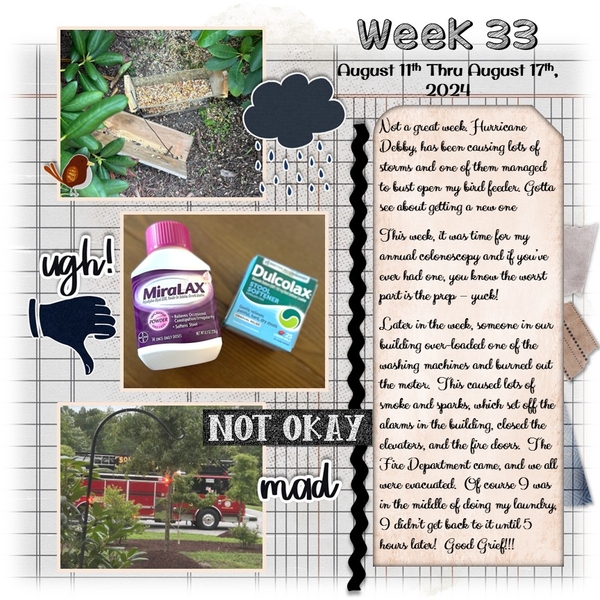 Project 365 Challenge - Week 33