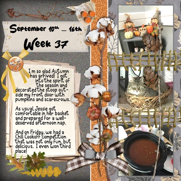 Project 365 Challenge - Week 37