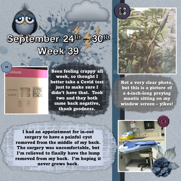 Project 365 Challenge - Week 39