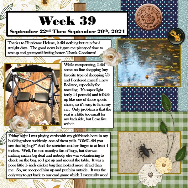 Project 365 Challenge - Week 39