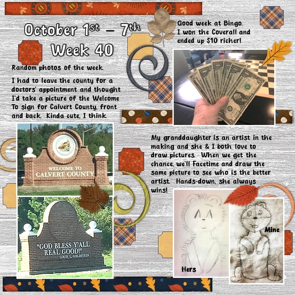 Project 365 Challenge - Week 40