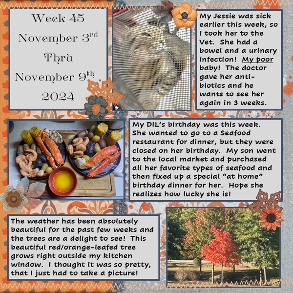Project 365 Challenge - Week 45