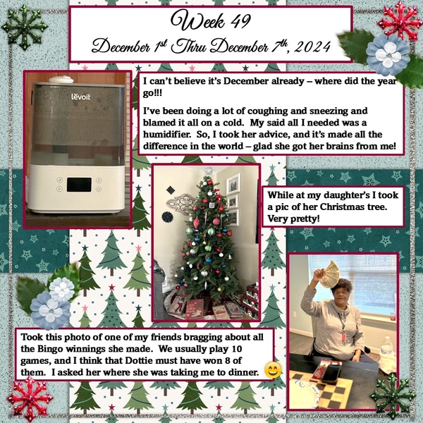 Project 365 Challenge - Week 49