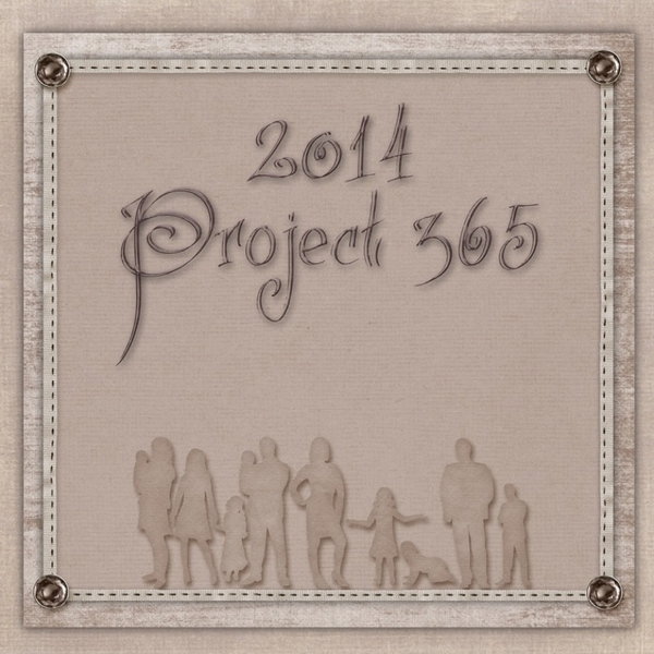 Project 365 Cover