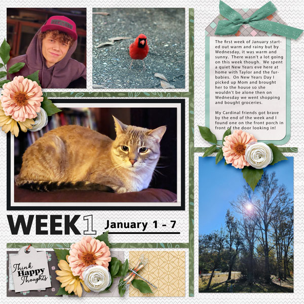 Project 365 - Week 1