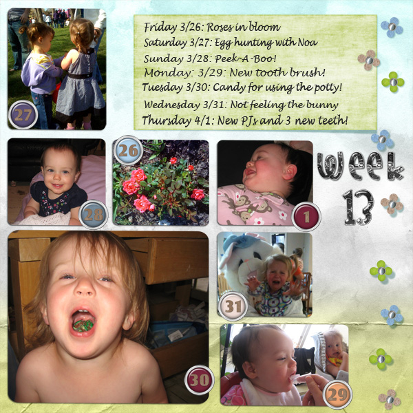 Project 365 Week 13