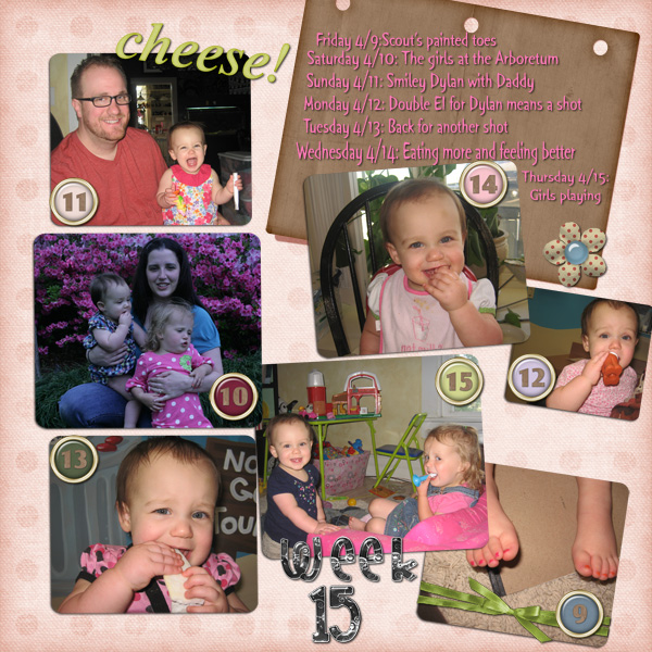 Project 365 Week 15