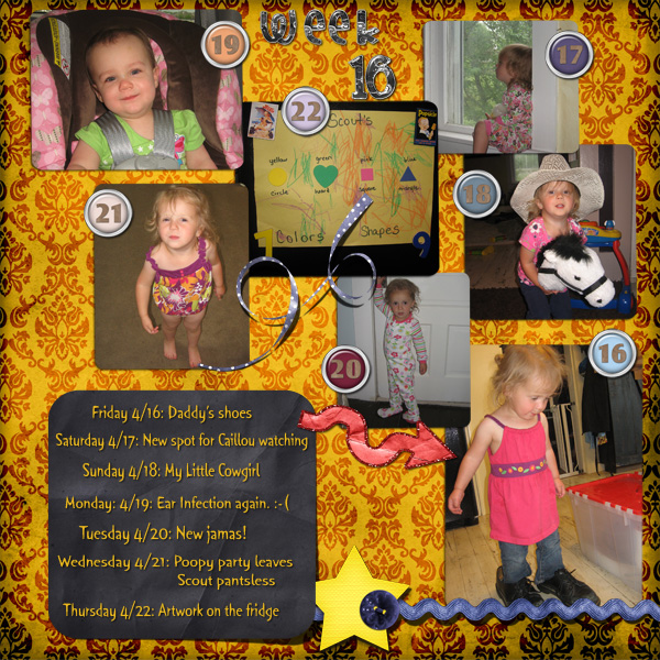 Project 365 Week 16