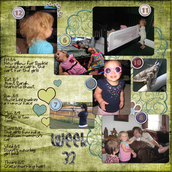 Project 365 Week 32