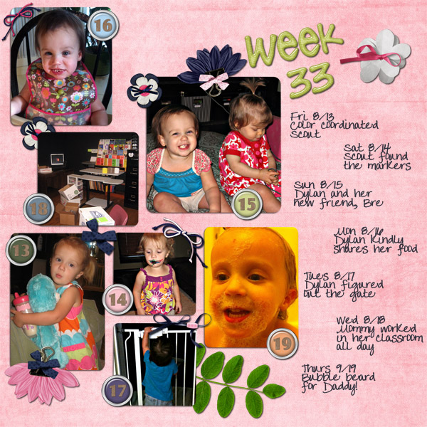 Project 365 Week 33