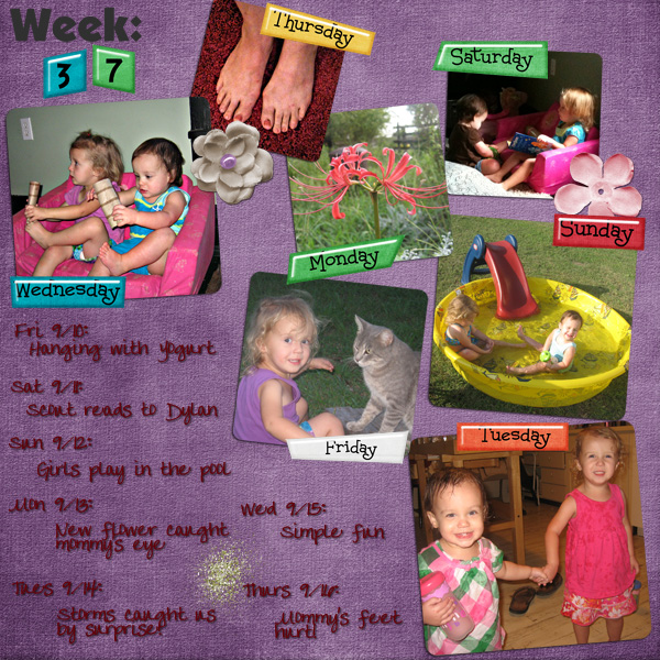 Project 365 Week 37