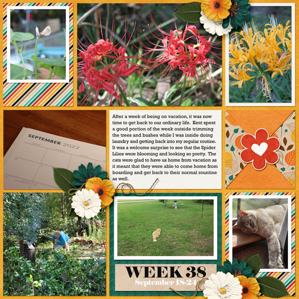 Project 365 - Week 38