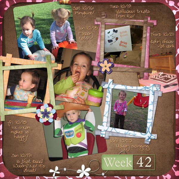 Project 365 Week 42