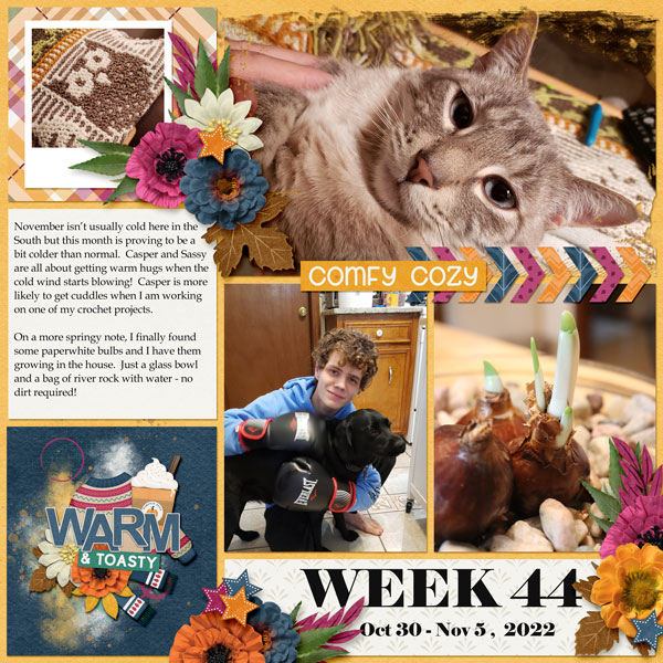 Project 365 - Week 44