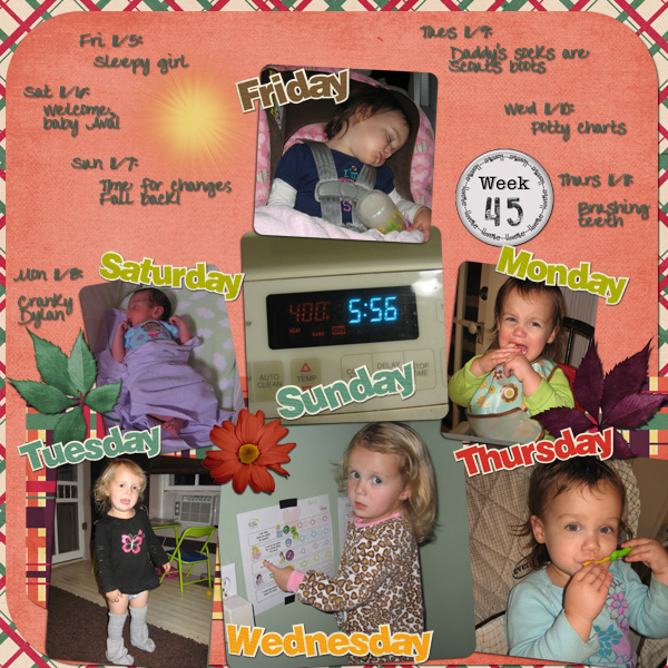 Project 365 Week 45