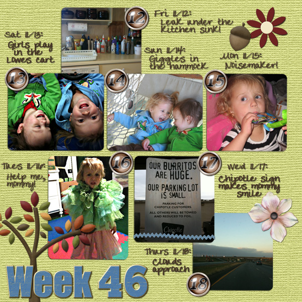 Project 365 Week 46