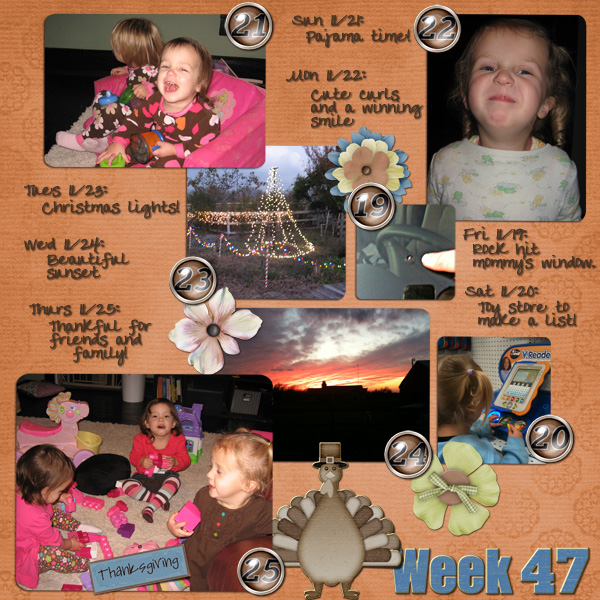 Project 365 Week 47
