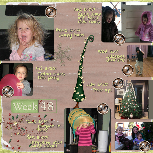 Project 365 Week 48