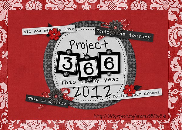 Project 366! Front Page!