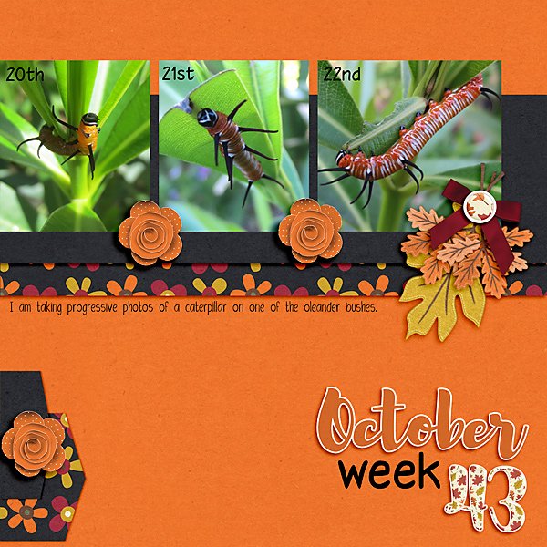 Project 52 - 2025 - Week 43