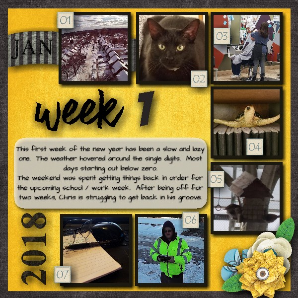 Project 52 - Week 1