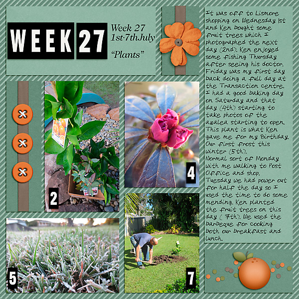 Project 52  - Week 27 - Plants