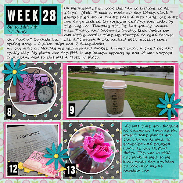 Project 52 - Week 28 - C things
