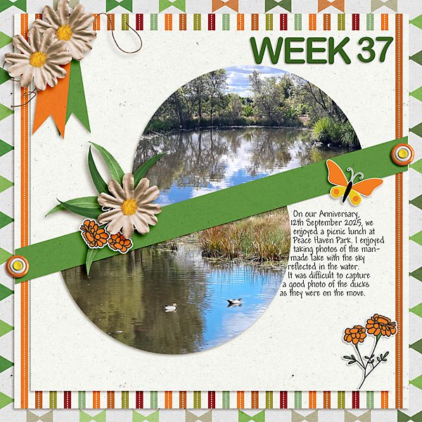 Project 52 Week 37