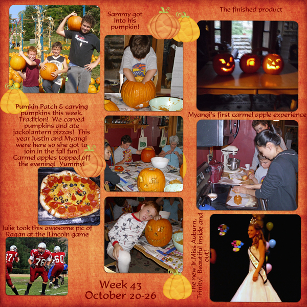 project 52 week 43