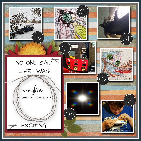Project 52:  Week 5