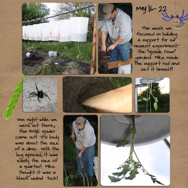 Project Garden- Week 2