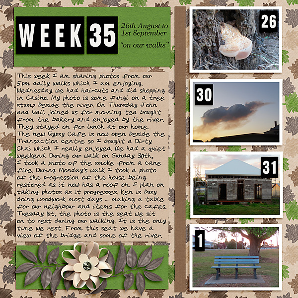 Project Life 2020 Week 35
