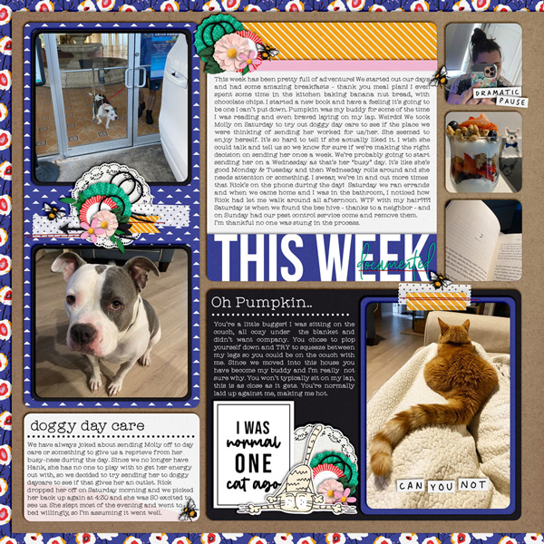 Project Life 2021 - Week 33 - Left Page