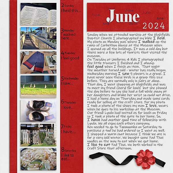 Project Life 2024 June 2-8